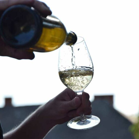 Wein wird in eine Weinglas eingeschenkt.